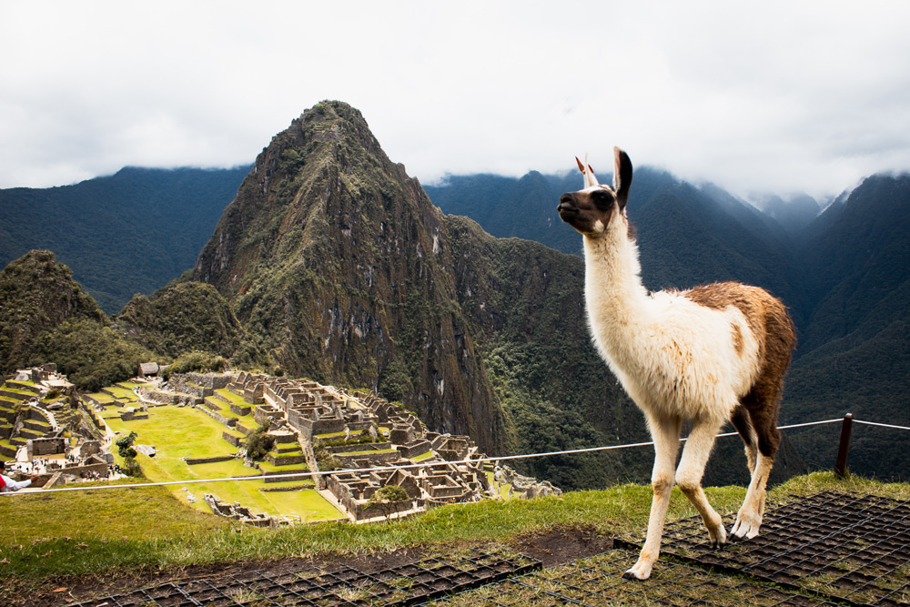 things you probably didn’t know about Machu Picchu