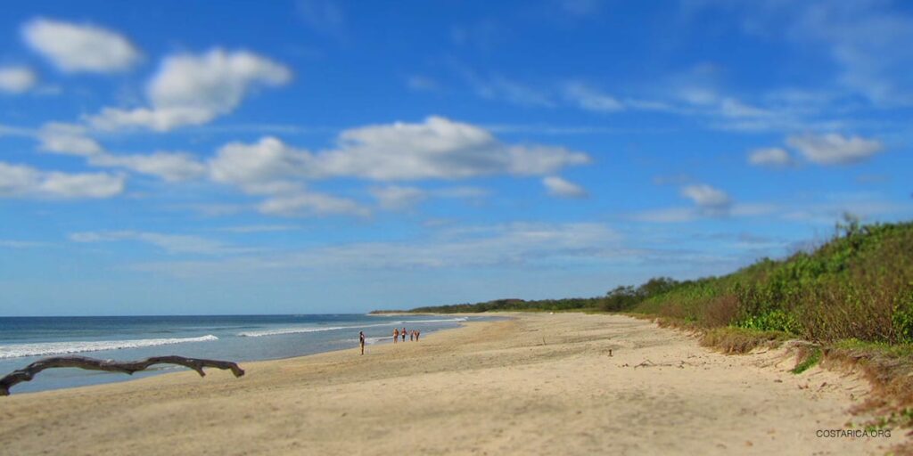 Playa Avellanas