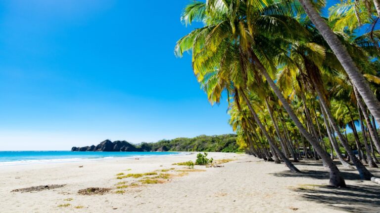 Costa Rica’s Hidden Beaches: Secluded Paradises Off the Beaten Path