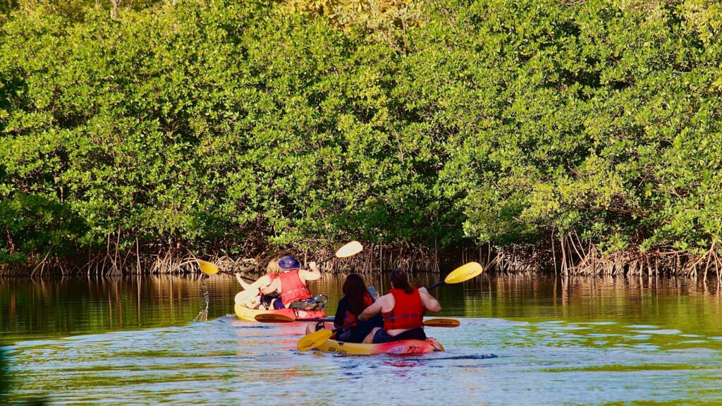 Kayaking and Water Adventures