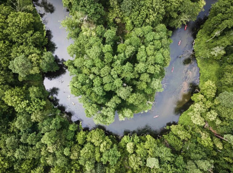 Sustainable Travel: Eco-Friendly Lodges in the Amazon Rainforest