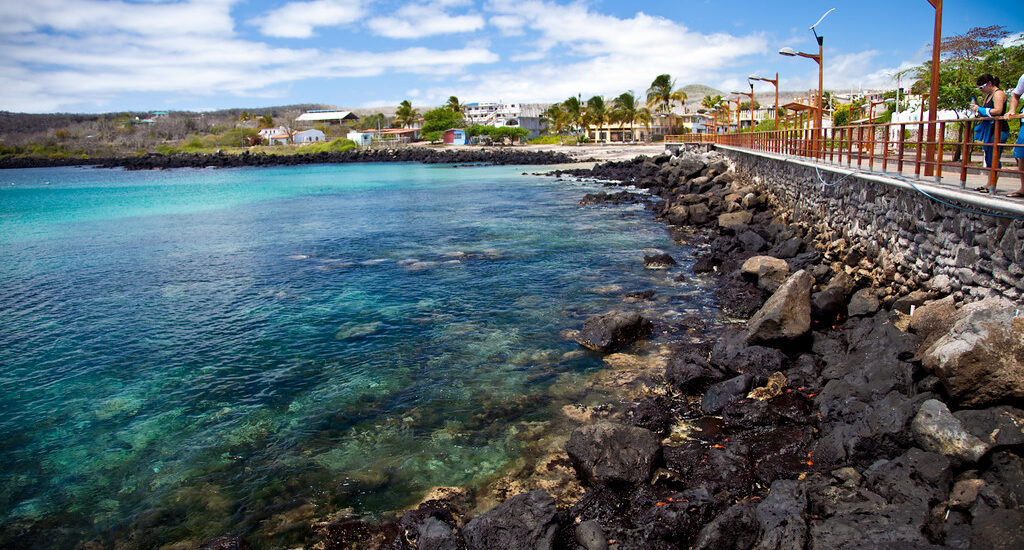 Sea lions resting on white sand beach in the Galápagos.