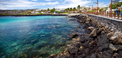 Sea lions resting on white sand beach in the Galápagos.