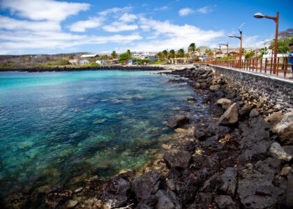 Sea lions resting on white sand beach in the Galápagos.