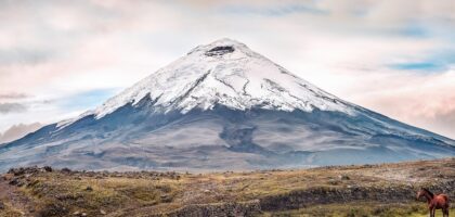 Cotopaxi National Park