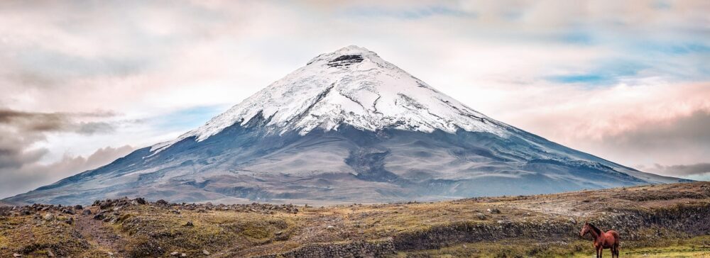 Cotopaxi National Park
