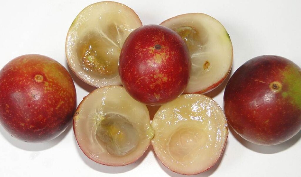Camu Camu