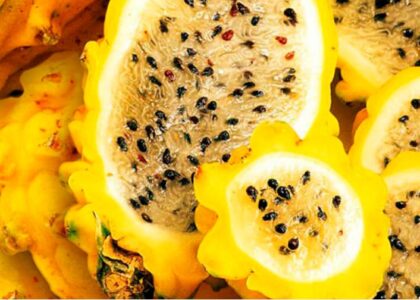 Pitahaya