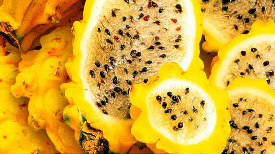 Pitahaya