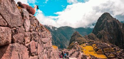 Machu Picchu
