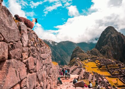 Machu Picchu
